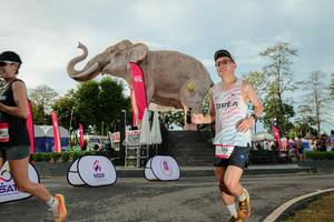 BIB: 
                            <button type="button" onclick="openModal(26529221)" class="btn btn-primary btn-sm float-right btn-popup" data-toggle="modal" data-target=".modal-high-quality">
                        <i class="fas fa-shopping-cart"></i> Add to Cart
                    </button>
                                            <button type="button" onclick="isThisMe(26529221, true)" class="btn btn-success btn-sm float-right btn-popup btn-isme hidden" data-toggle="tooltip" data-placement="bottom" title="นี่คือรูปของคุณใช่ไหม คลิกที่นี่เพื่อเอาเข้าอัลบั้ม">
                        <i class="fas fa-plus"></i> Add to album
                    </button>
                    <button type="button" onclick="isThisMe(26529221, false)" class="btn btn-warning btn-sm float-right btn-popup btn-isnotme hidden">
                        <i class="fas fa-ban"></i> Remove from album
                    </button>